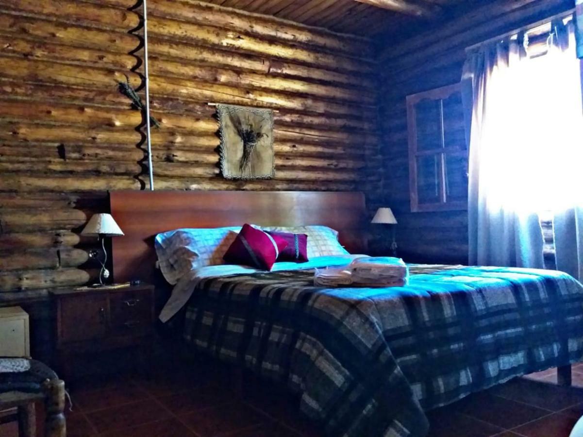 Cabanas Sehuen Uspallata Bagian luar foto